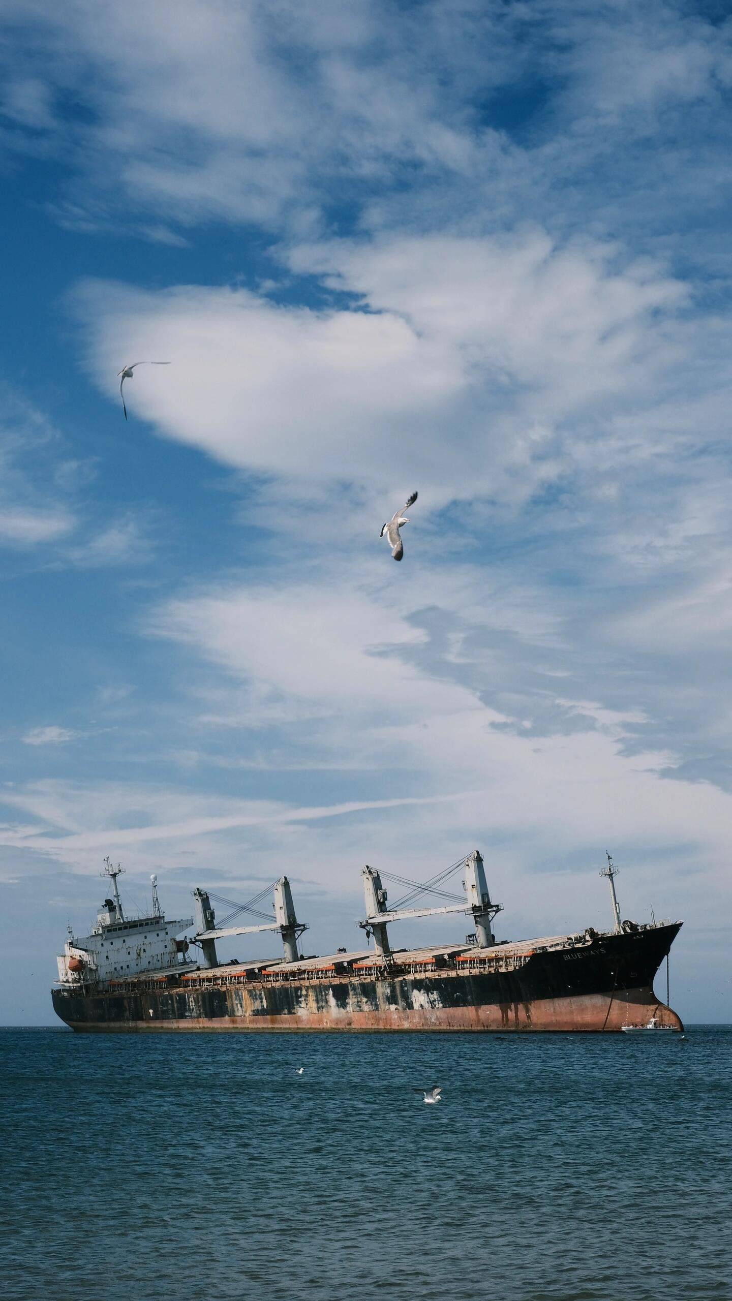 答应我，夏天一定要去威海转一转 自由生_1