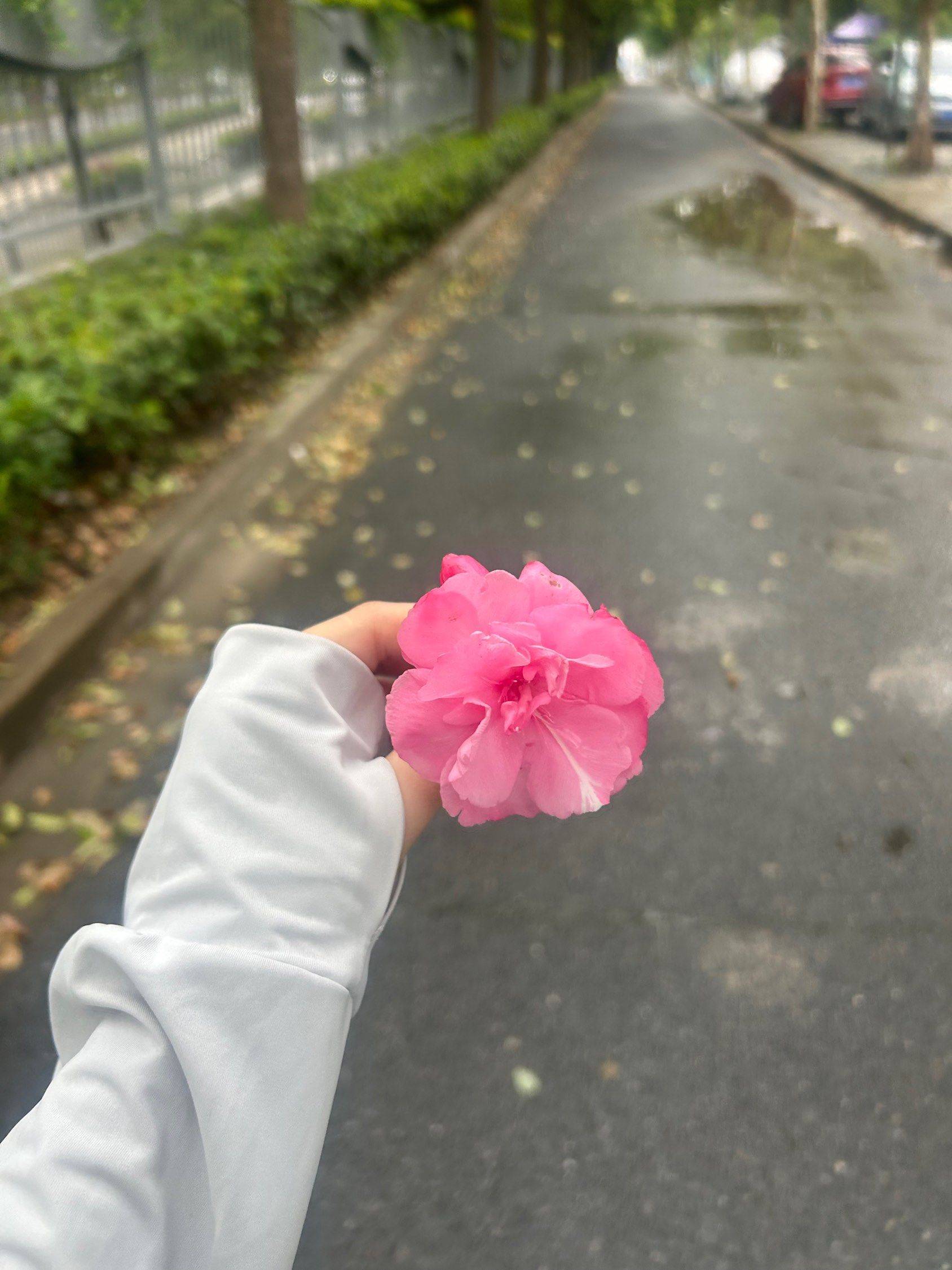 好看，好吃，好玩 蛋糕  美味诱惑 _1