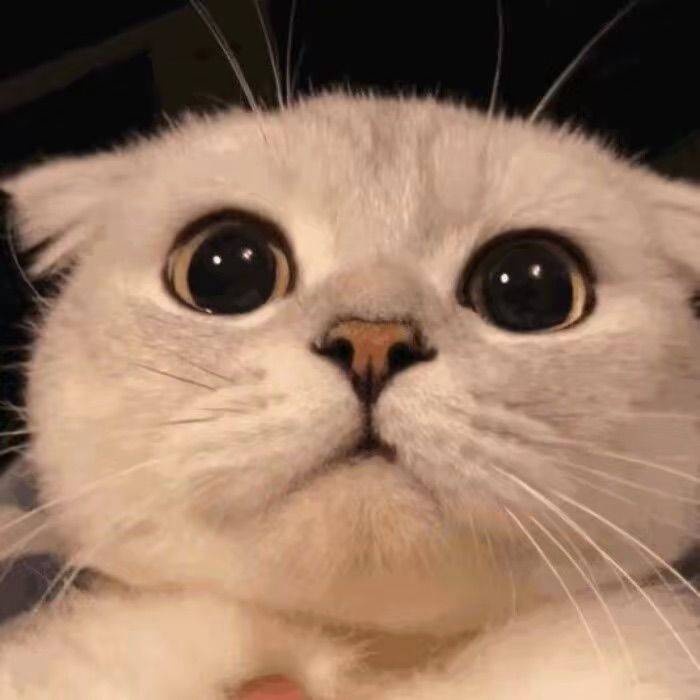 蹲室友 闵行莘庄