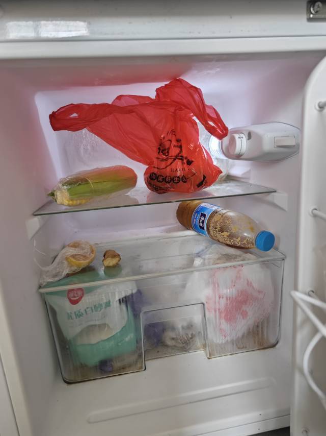 用了4年的冰箱，没坏过，噪音小_3