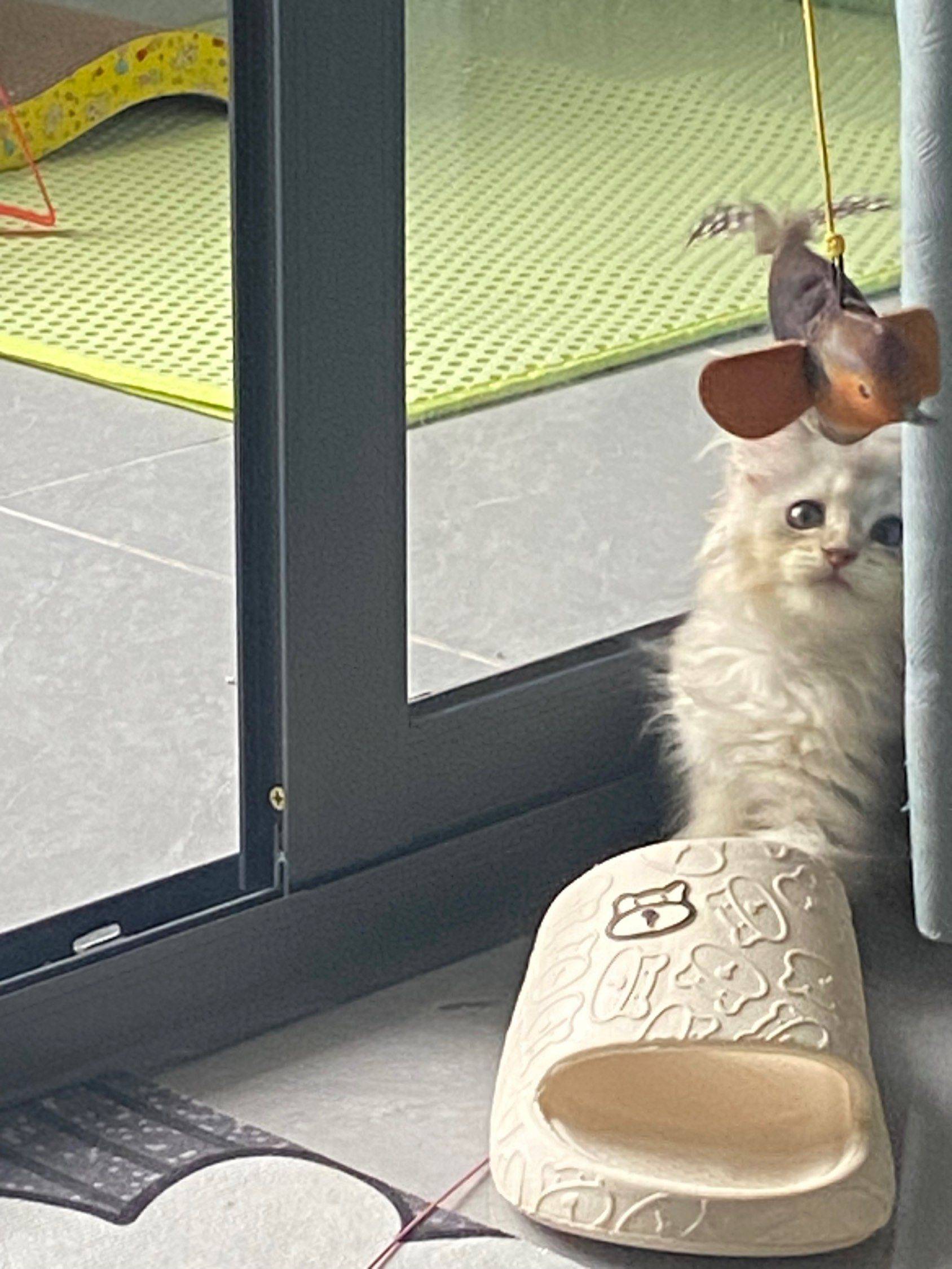 招普工，位置东莞 宅家日常 普工 