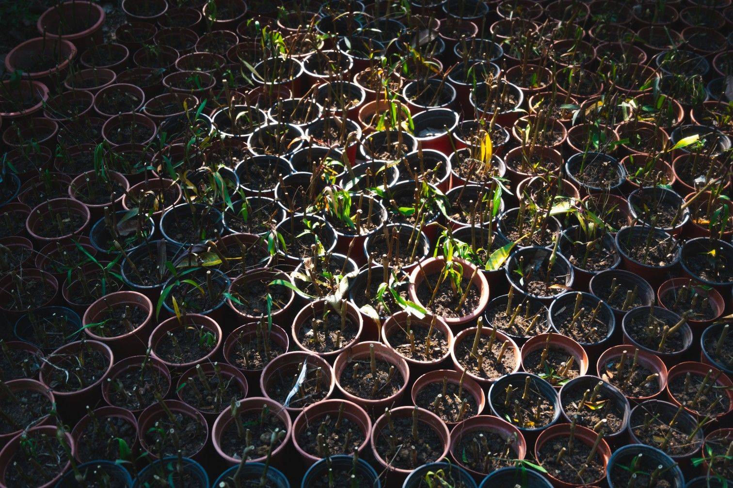 求附近有停车位的房子