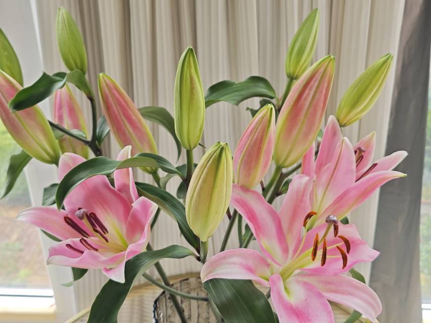 “静待花开，静候心安”
