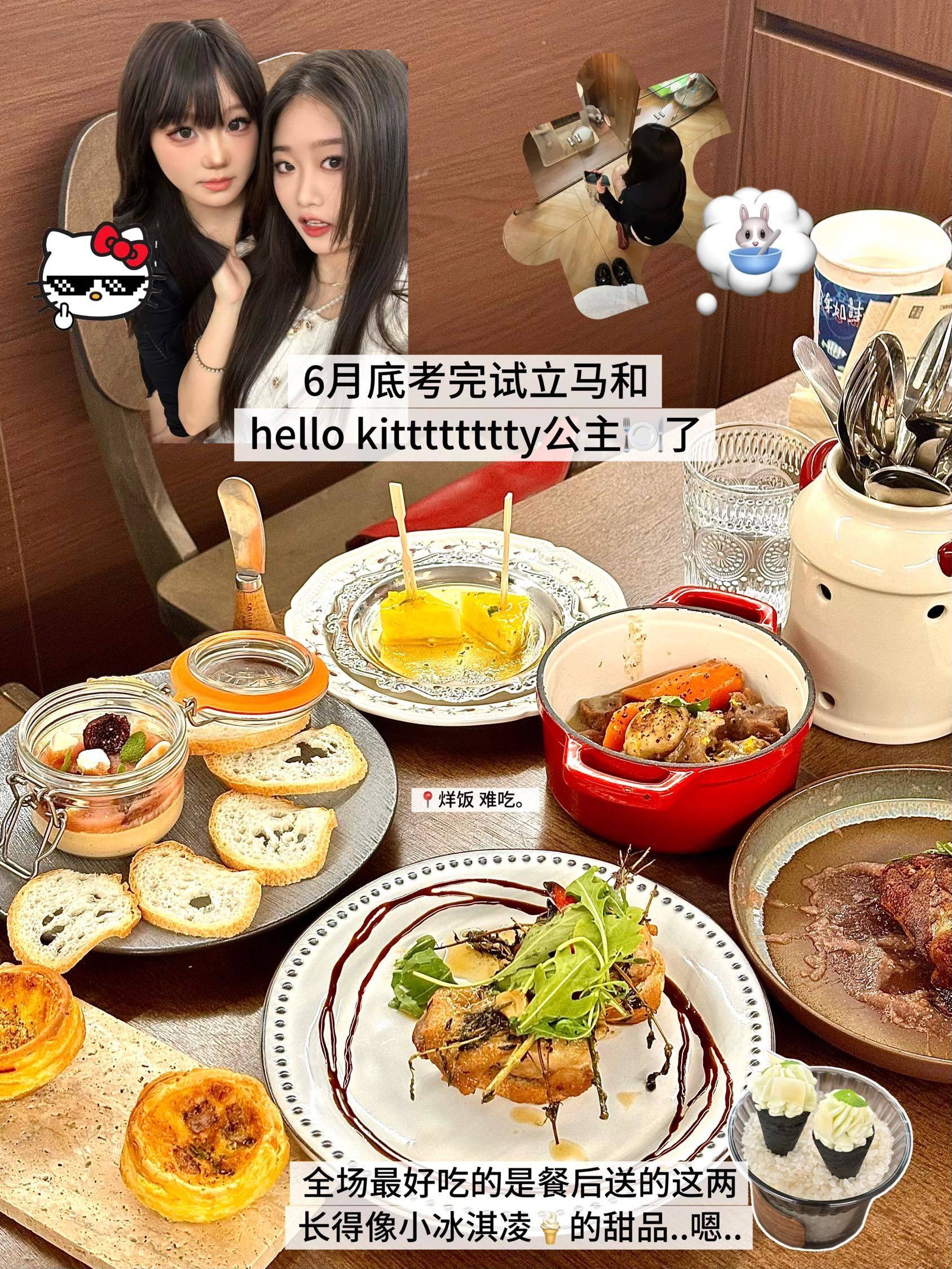 有这么高质量的电子日记进入wellcee