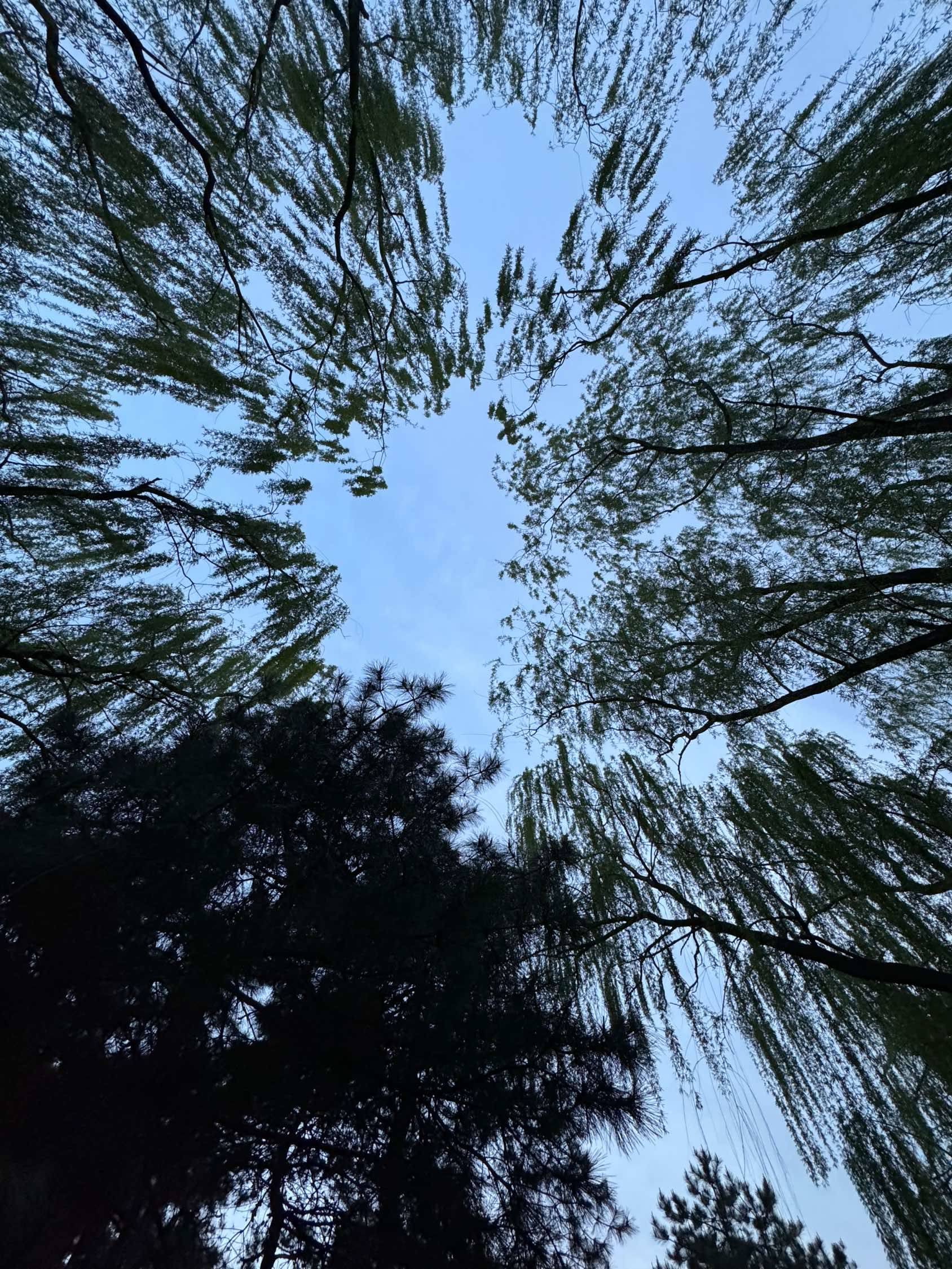 步行10min，感受蓝调时刻