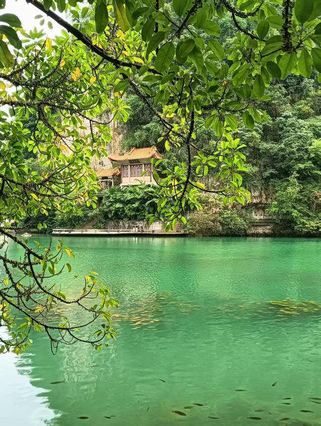 皆若空游无所依🌲_1