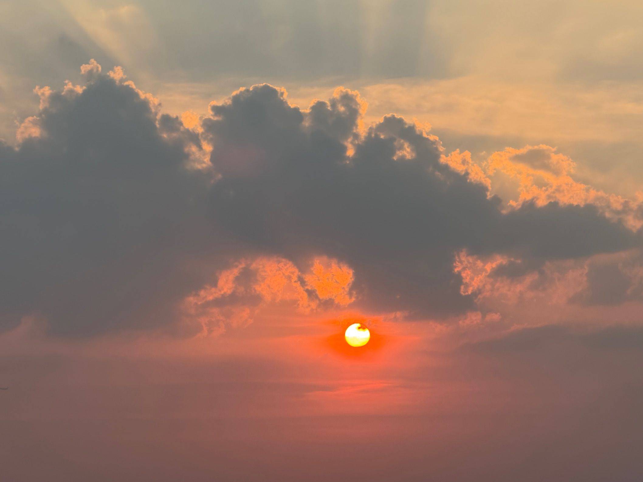 捉迷藏？有意思🤔_1