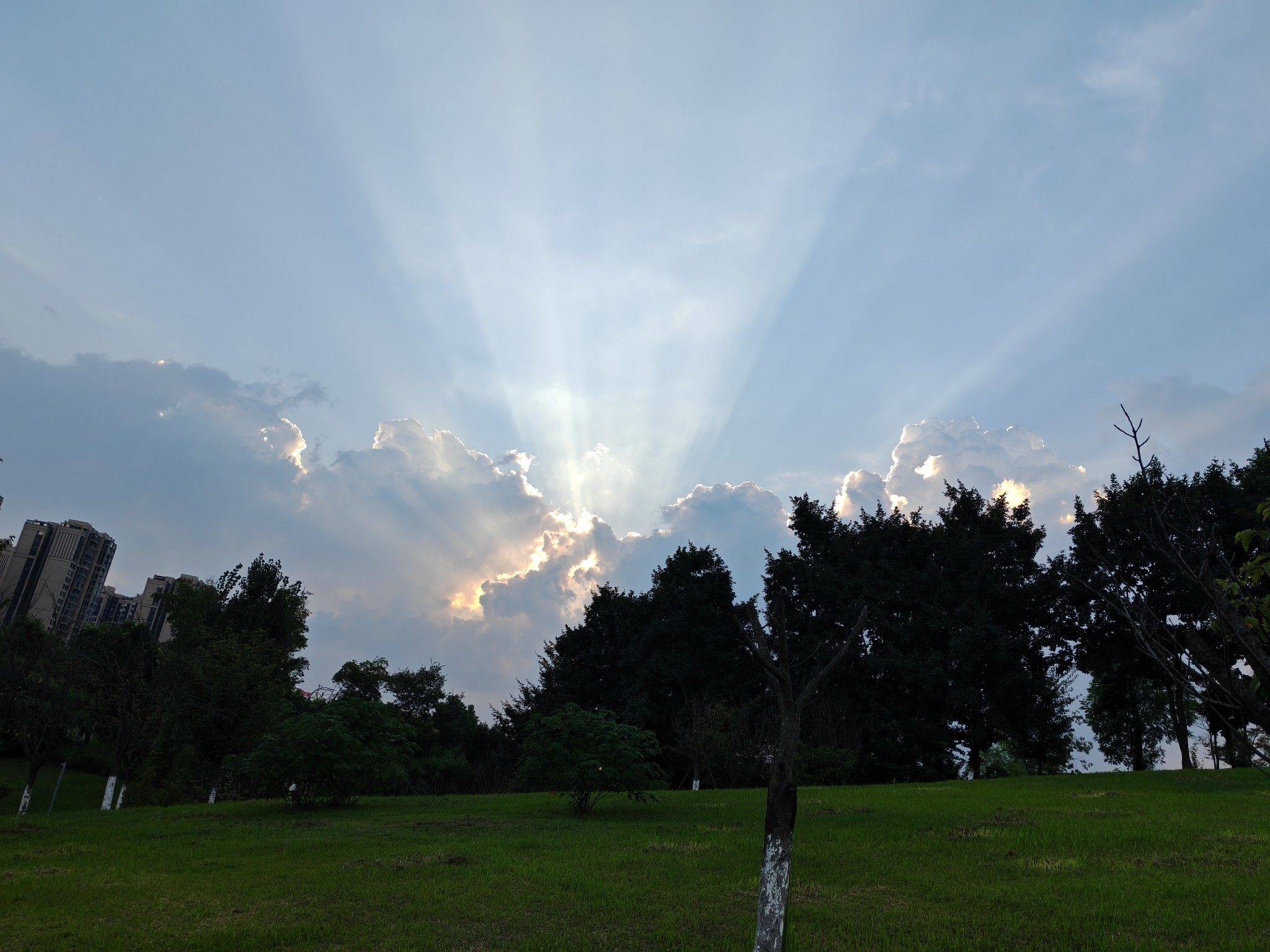 今天的云好好看。 城市风光  记录我_2