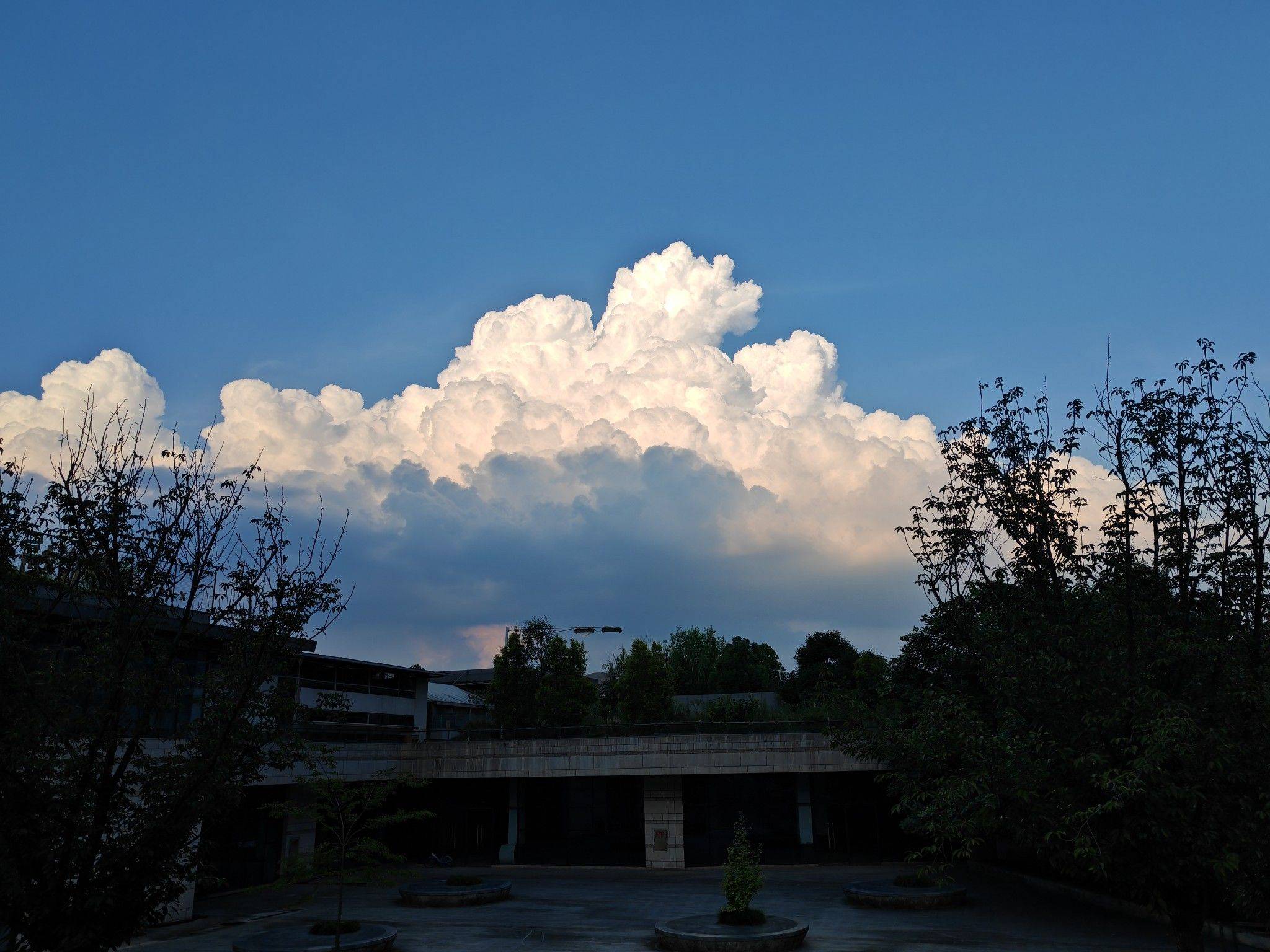 今天的云好好看。 城市风光  记录我