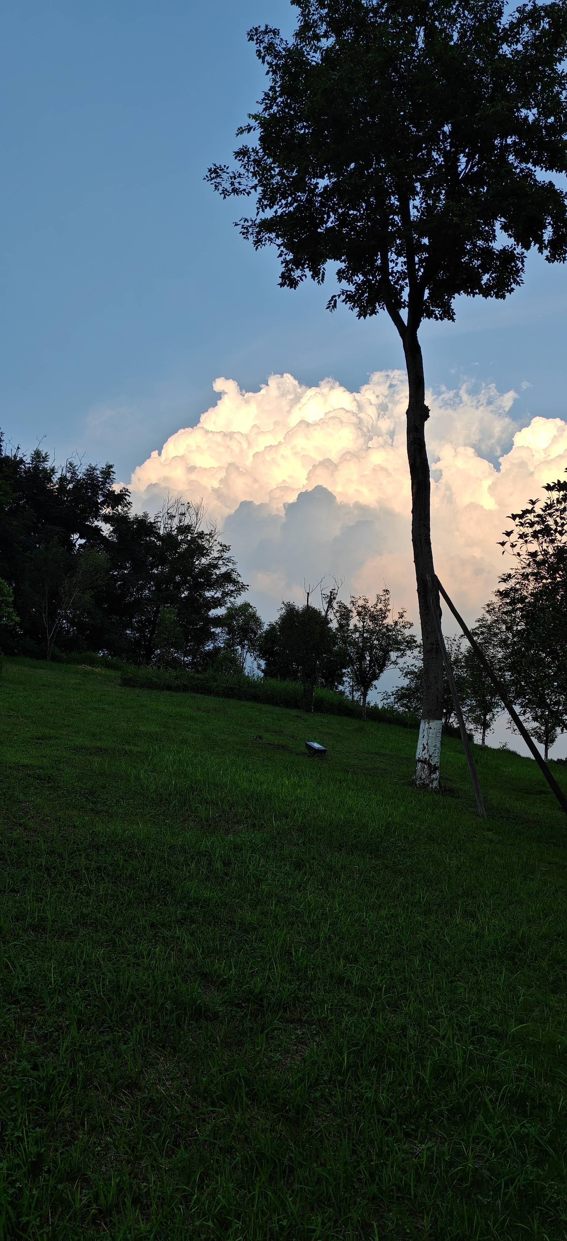 今天的云好好看。 城市风光  记录我_1