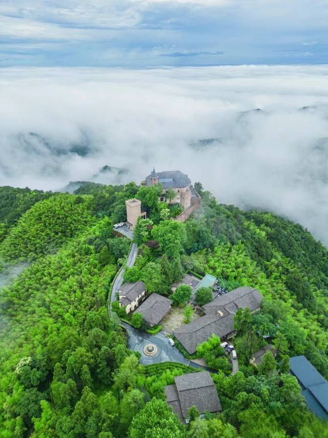 周六出发，天然森林氧吧，徒步莫干山蒋公道