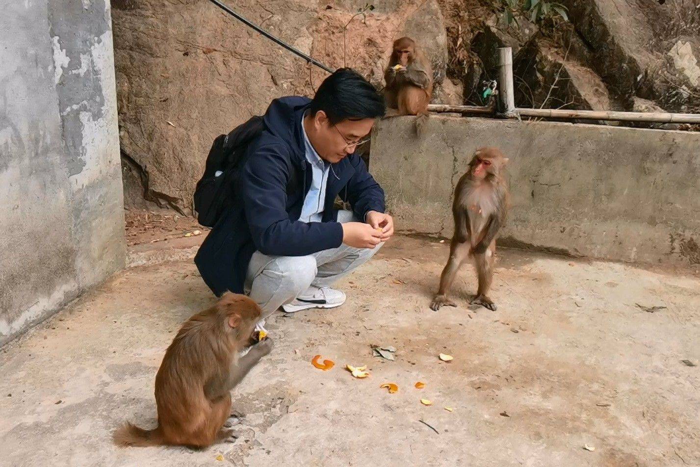 相对而言，福建的猴子比较有礼貌