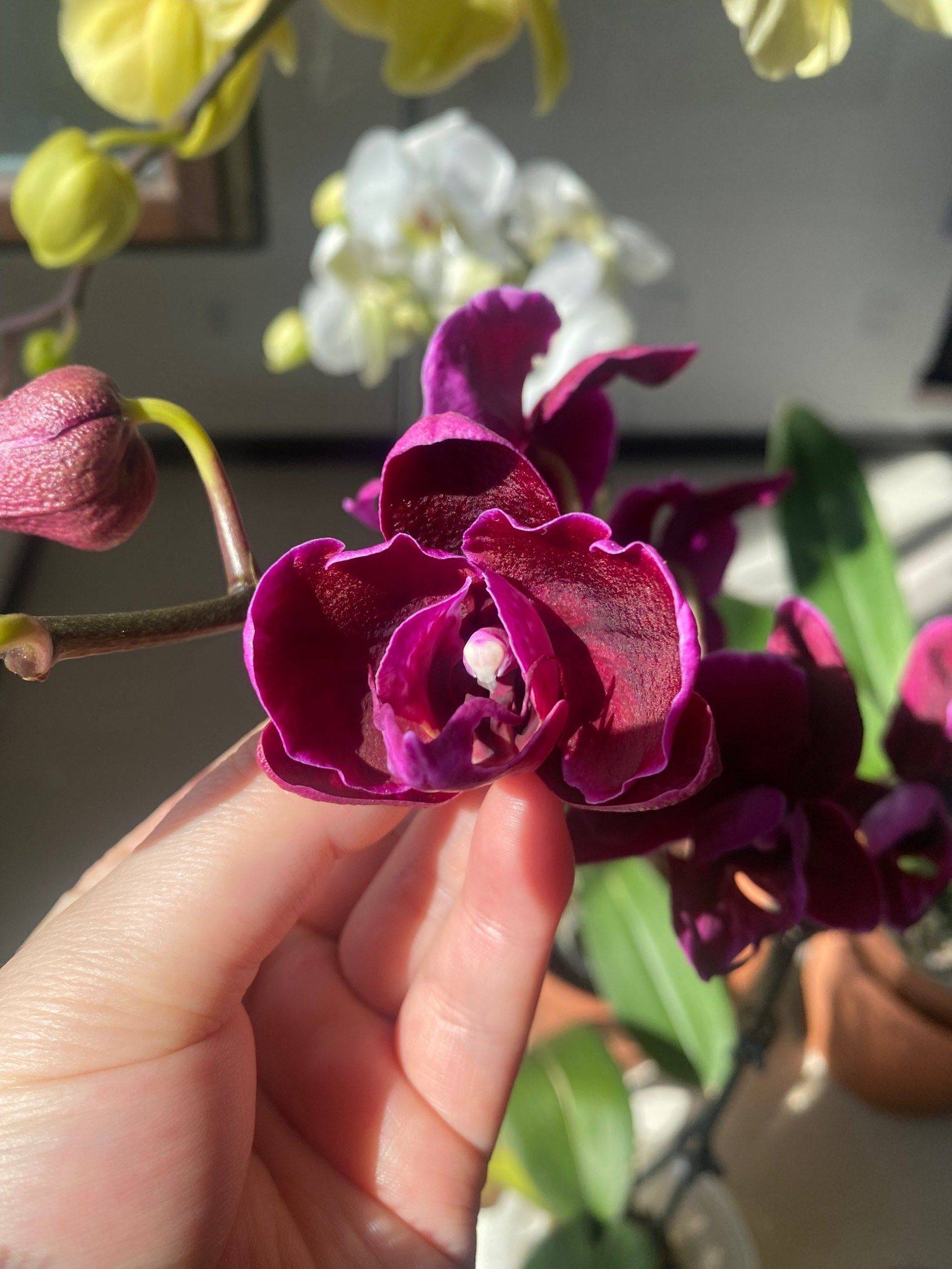 天津武清大光明招合租室友_1