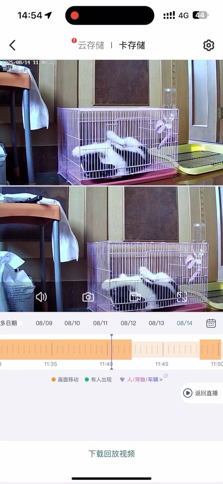 很好，自己会出笼子。表扬还是挨打？ 我