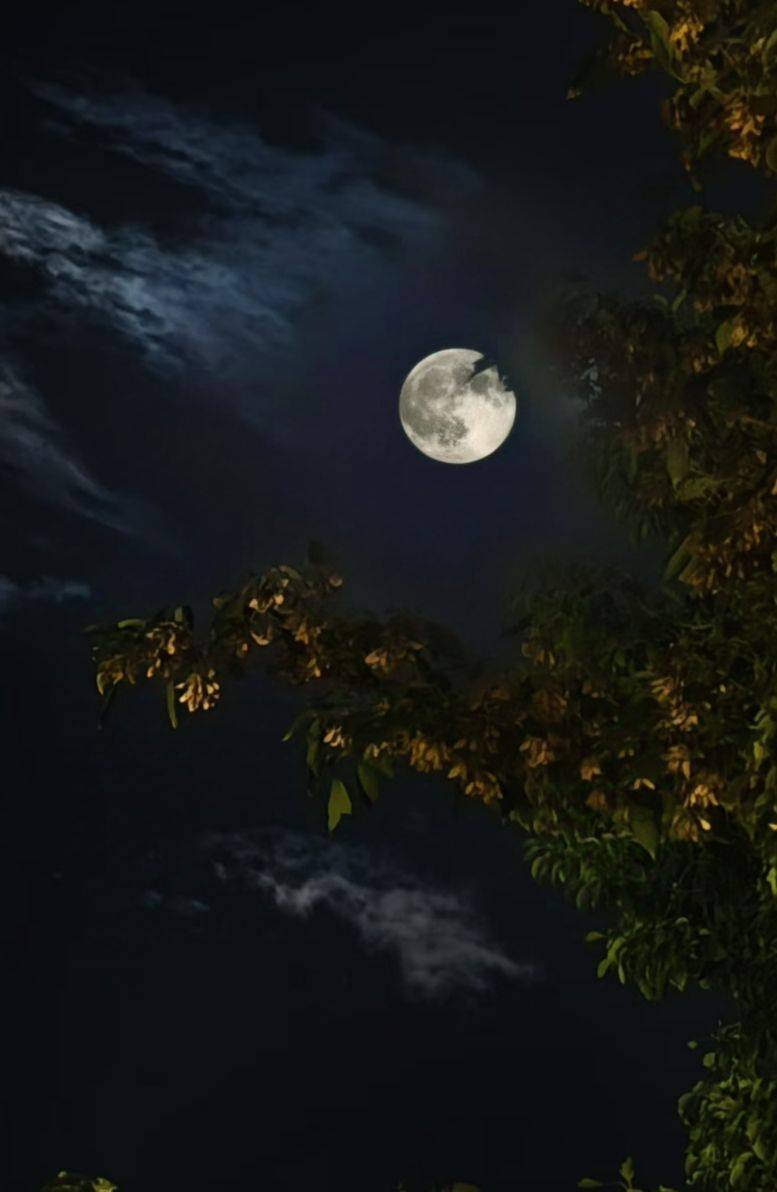  熬夜看球月下静谧时光 _1