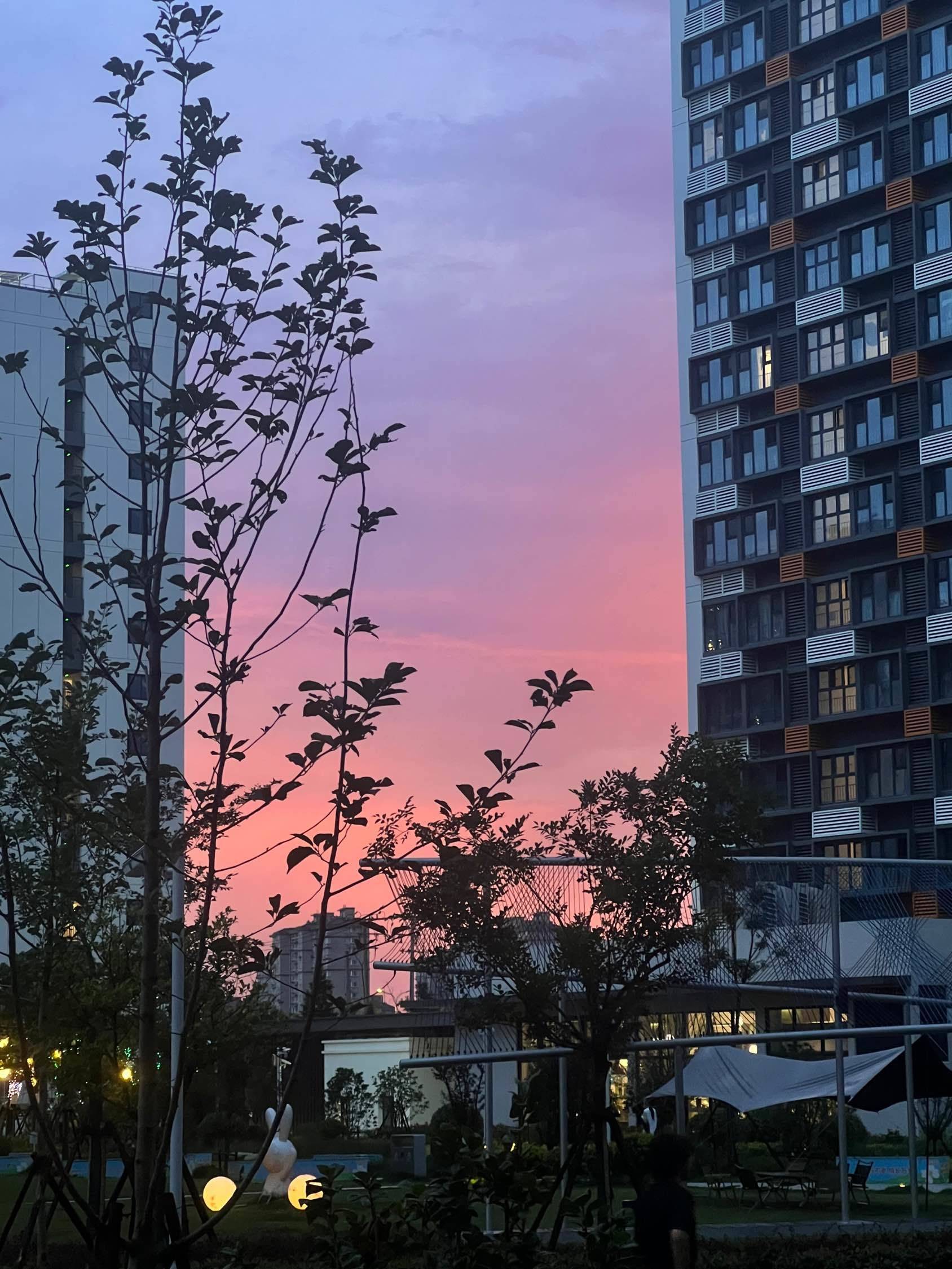 好美😍 夕阳西下  晚霞  傍晚的_1