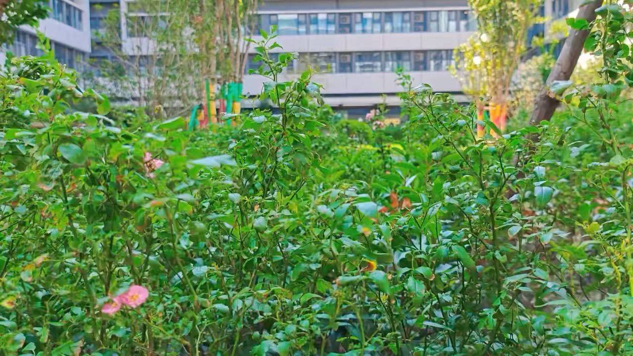 地铁一号线旁，园区实景