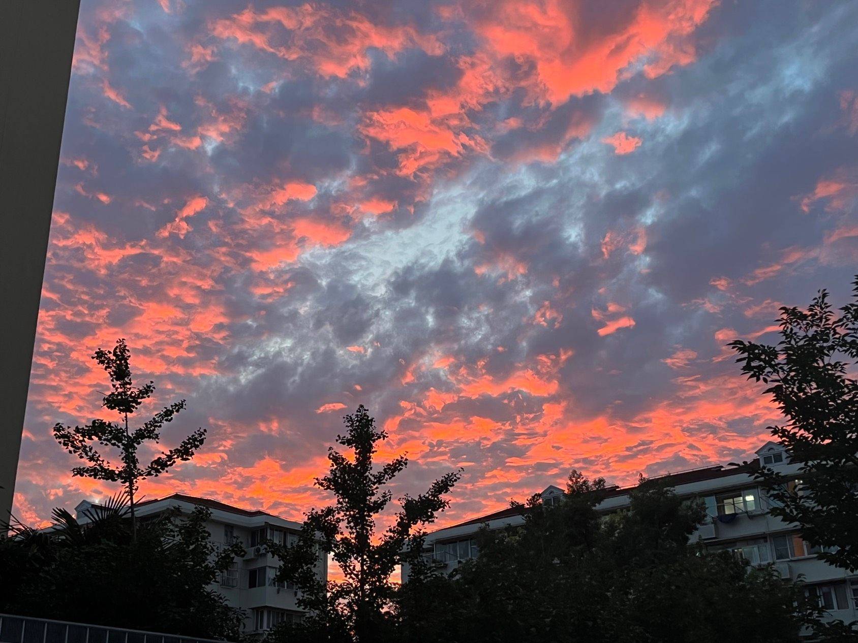 徐汇区华东理工附近单间出租