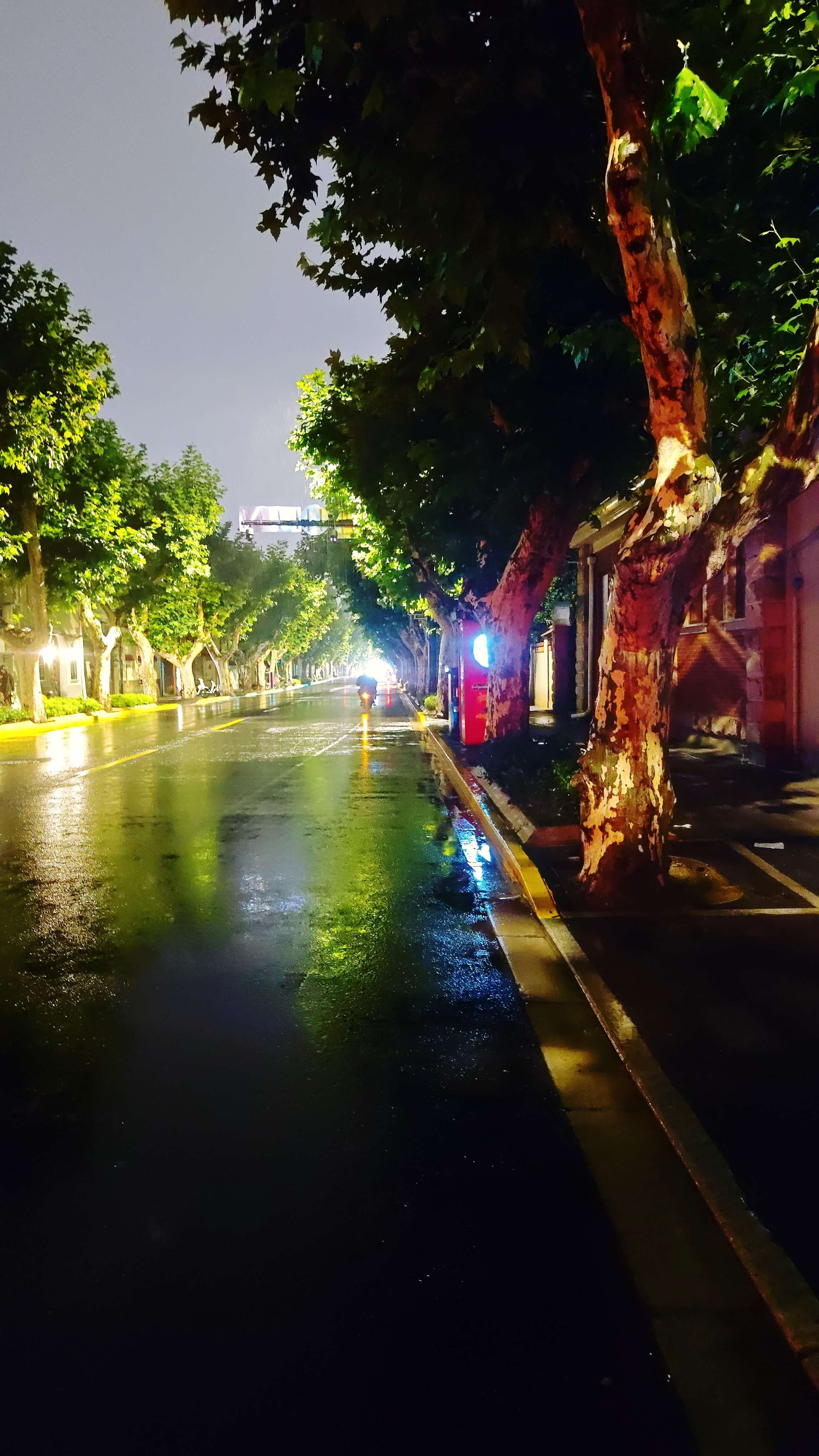在上海梧桐区的生活_1