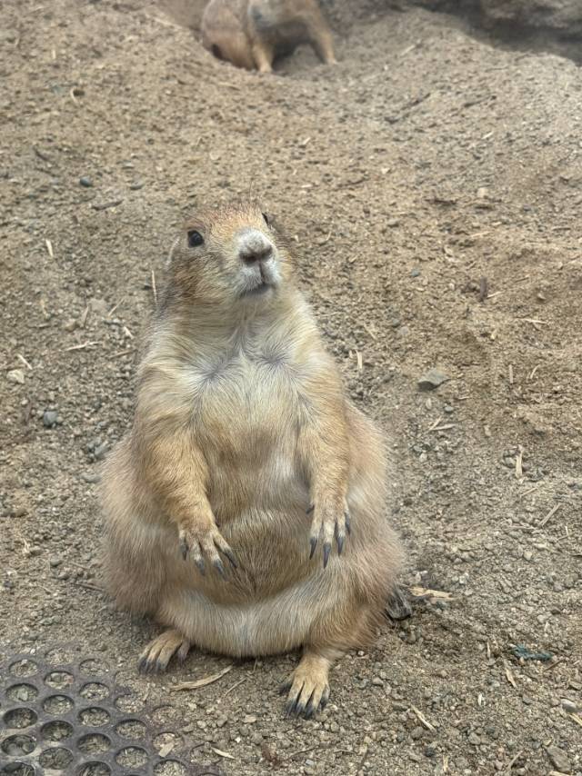 求南开区西南角范围半小时房源
