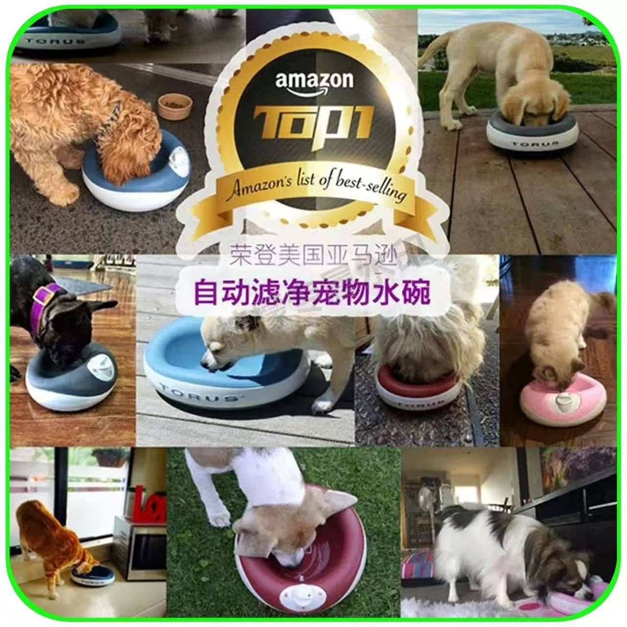 TORUS 宠物自动续水活性炭过滤饮水碗