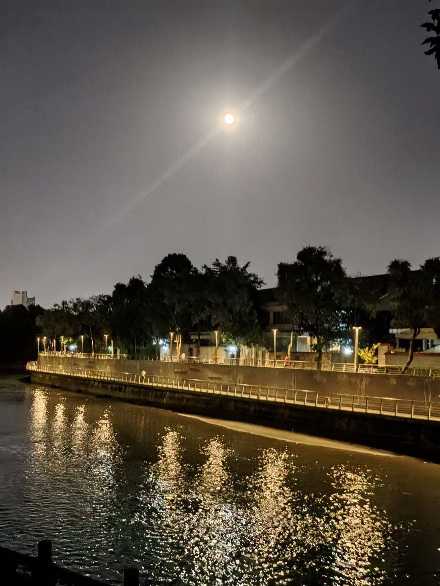  月光 秋天的奶茶喝了，就该加衣服
