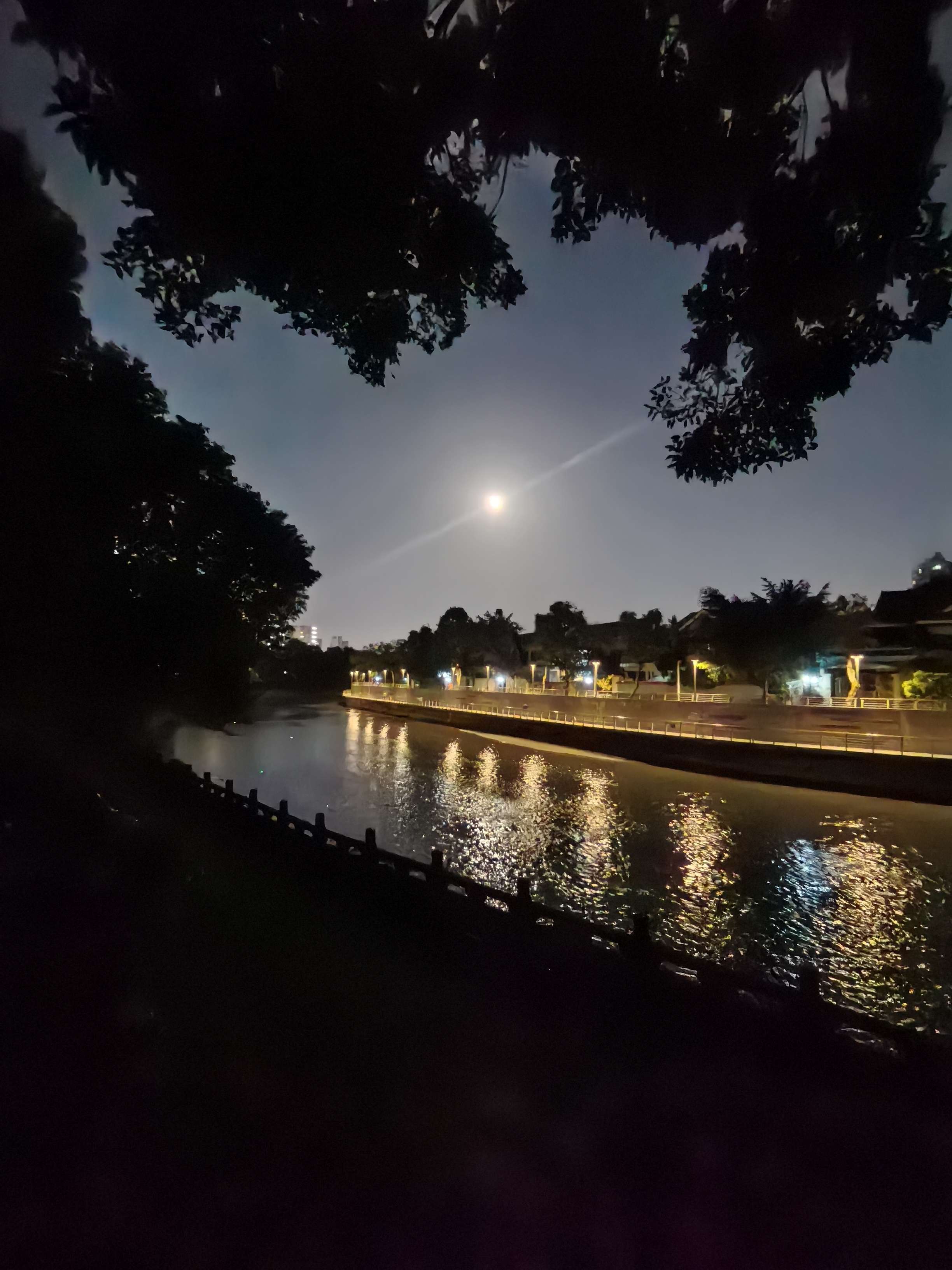  月光 秋天的奶茶喝了，就该加衣服
_1