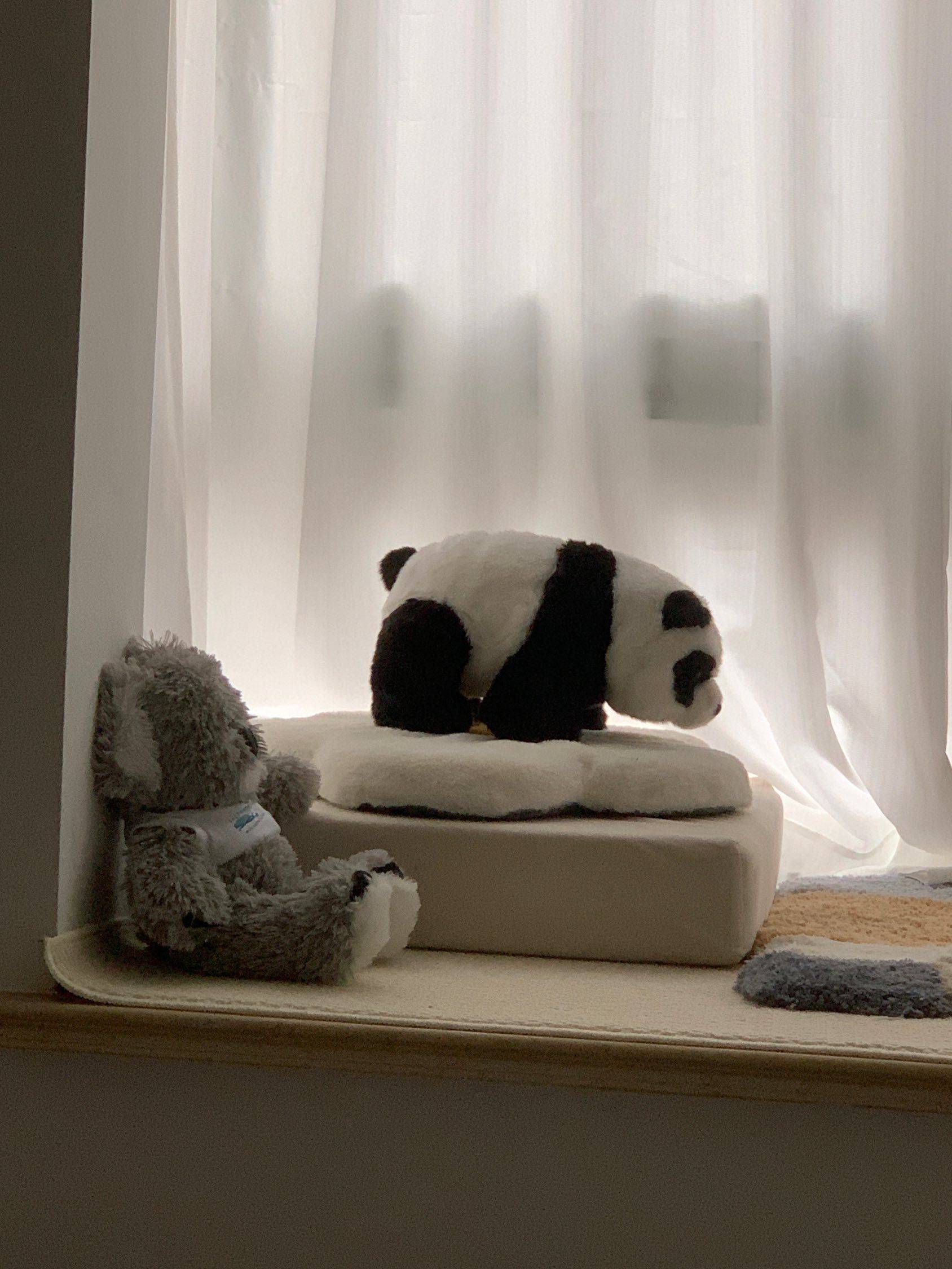 蹲一个合租室友