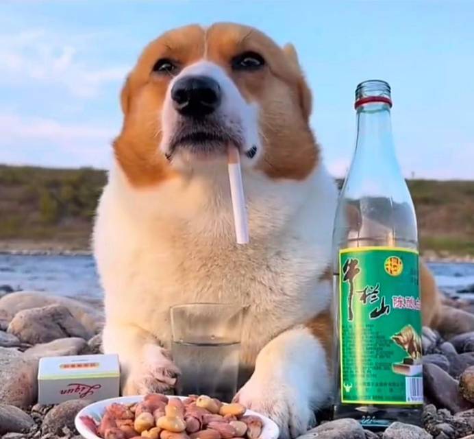 泉州 城市唤醒计划