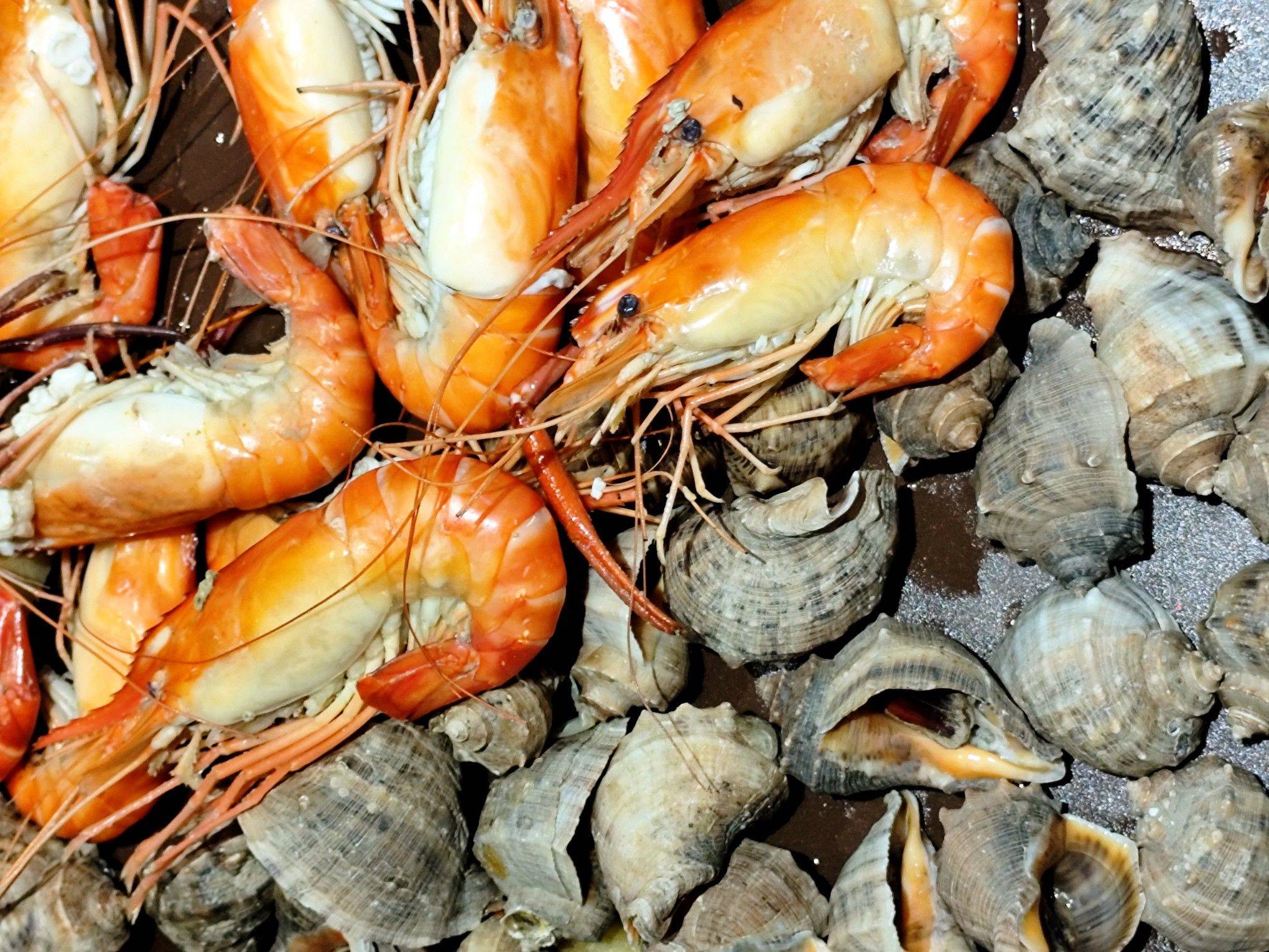 蕉叶共听窗下雨，蟹螯分弄手中杯。 今晚_3
