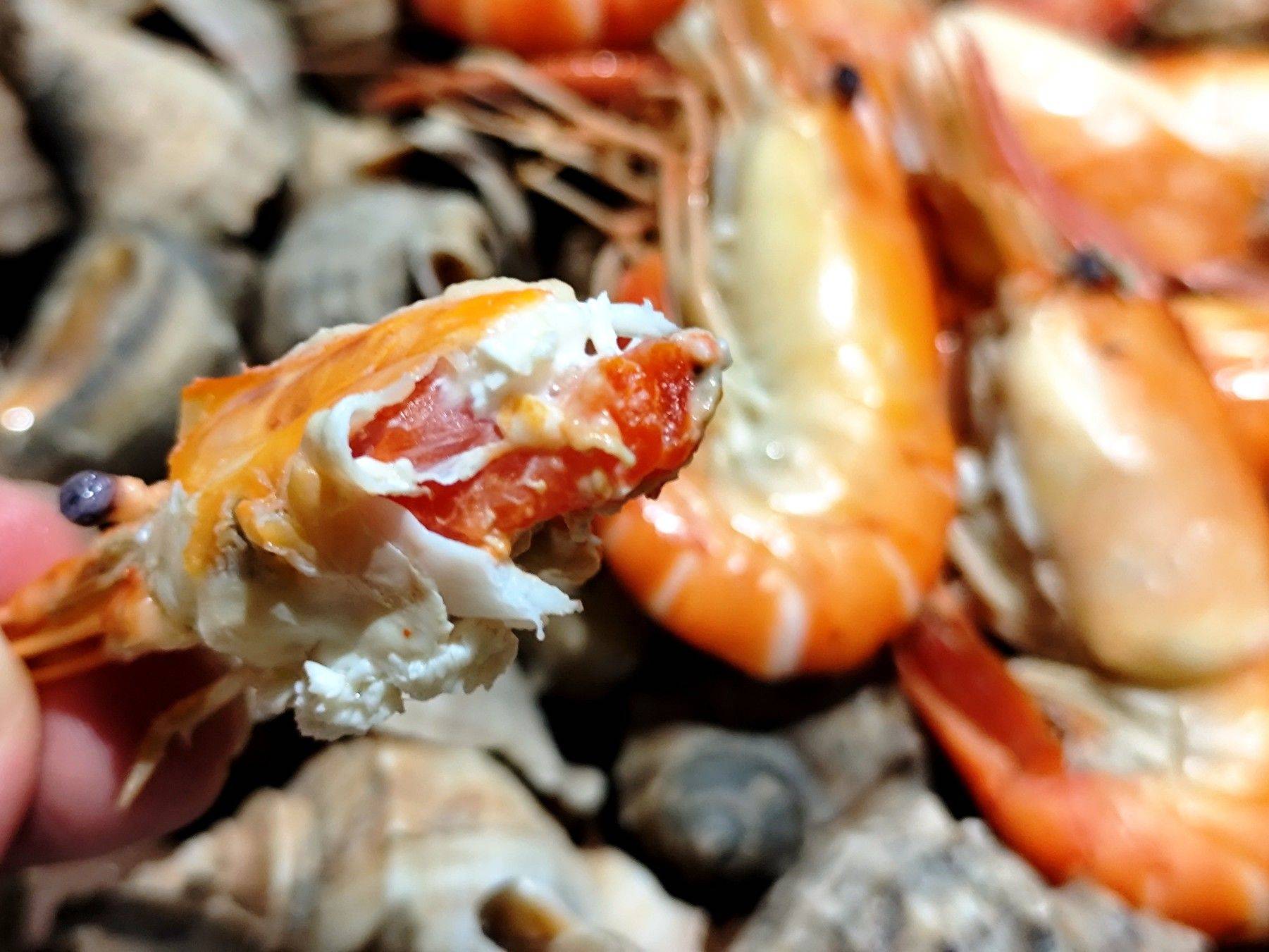 蕉叶共听窗下雨，蟹螯分弄手中杯。 今晚_2