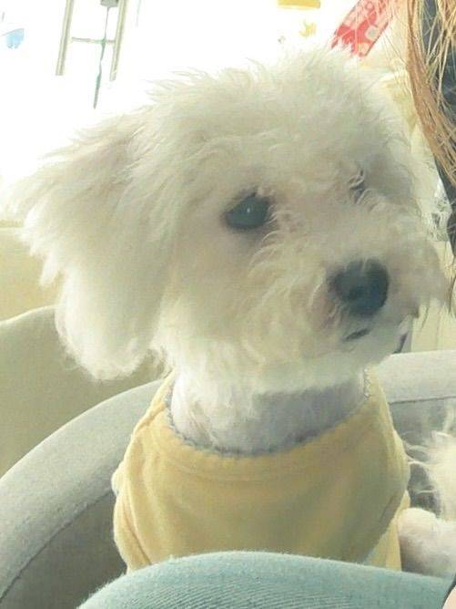 我家萌宠最可爱 