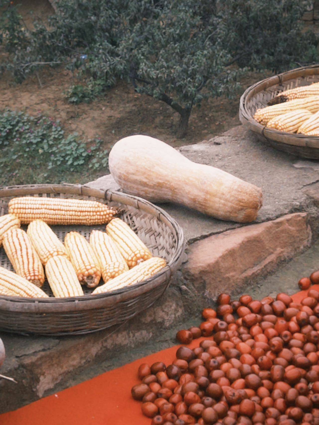 浦东找舍友 一起干饭一起玩 阳光房等男生