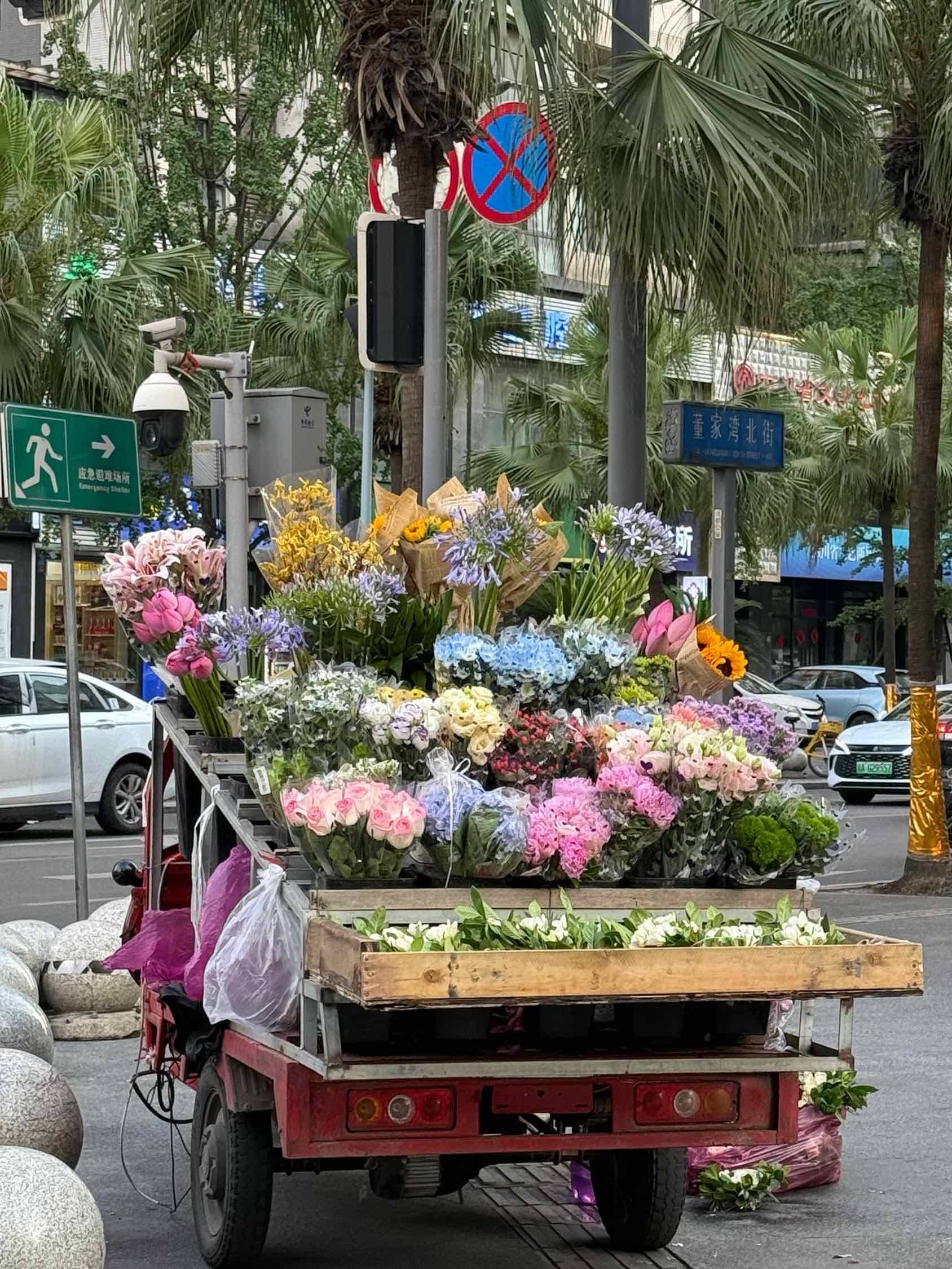 秋天 城市风光  街边花摊  花香