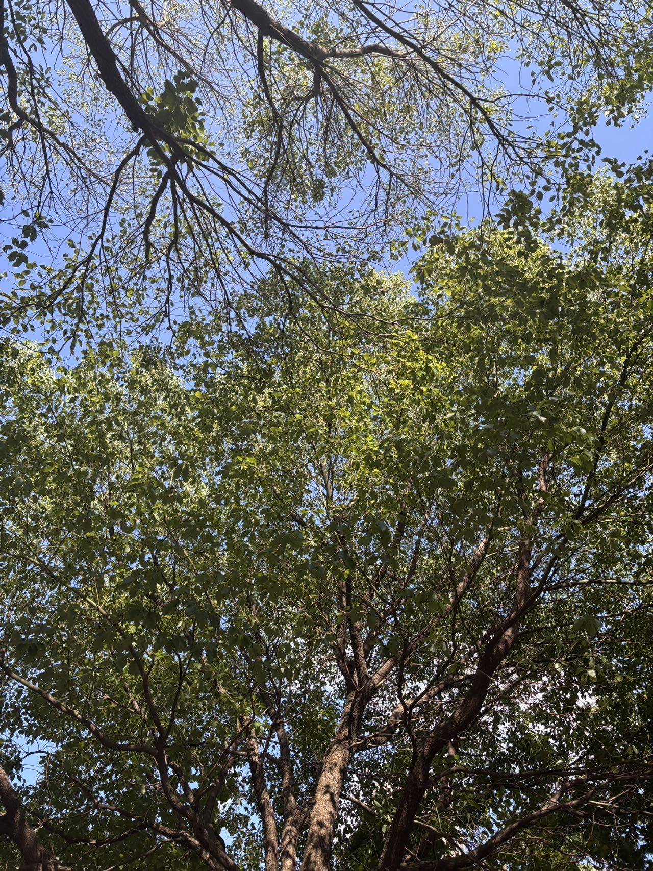 泗泾泗泾求租预算1000左右