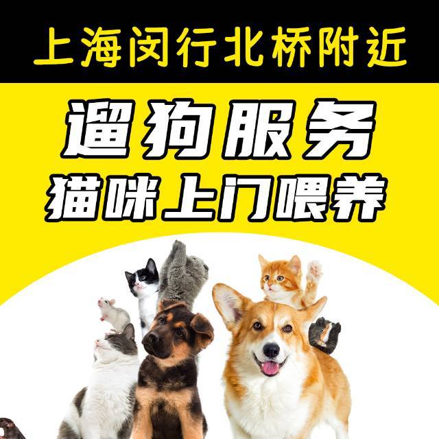 上门喂猫遛狗