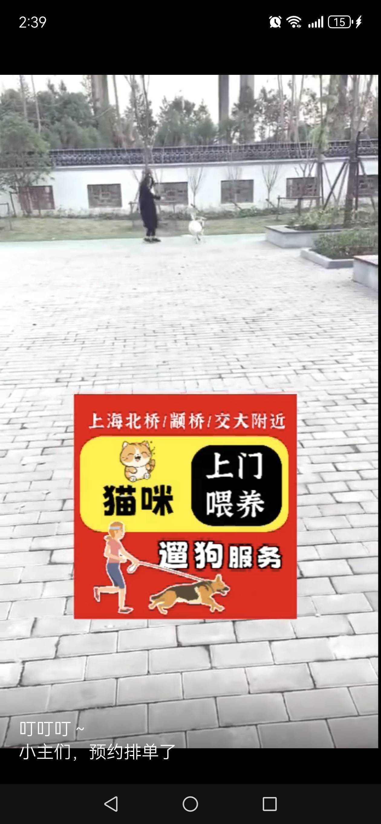 接单～喂猫遛狗，宠物喂养_2