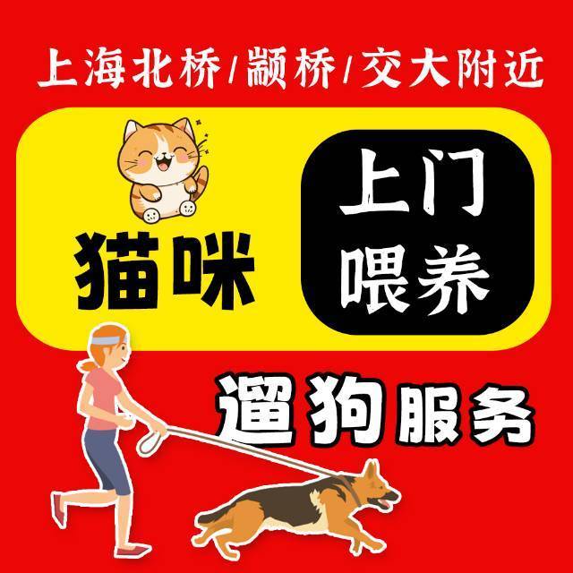 接单～喂猫遛狗，宠物喂养_0