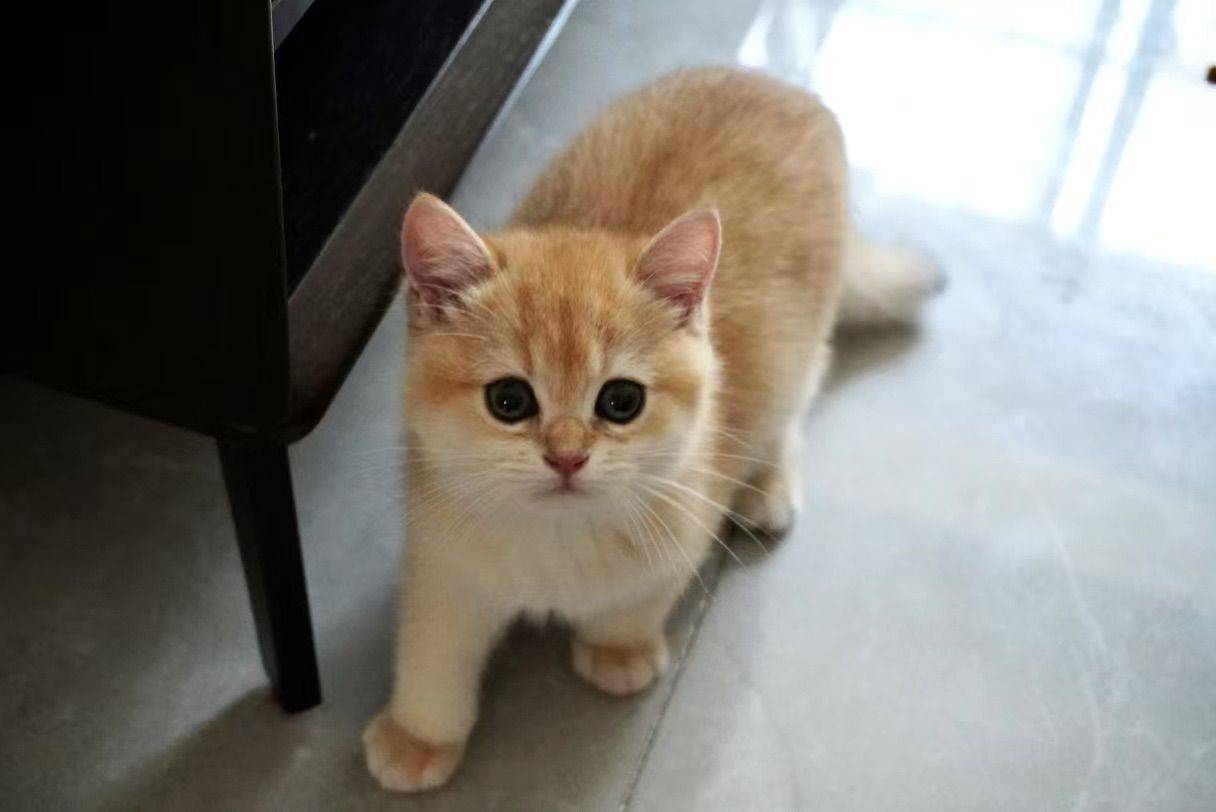 右滑看芒果宝宝长大的样子！