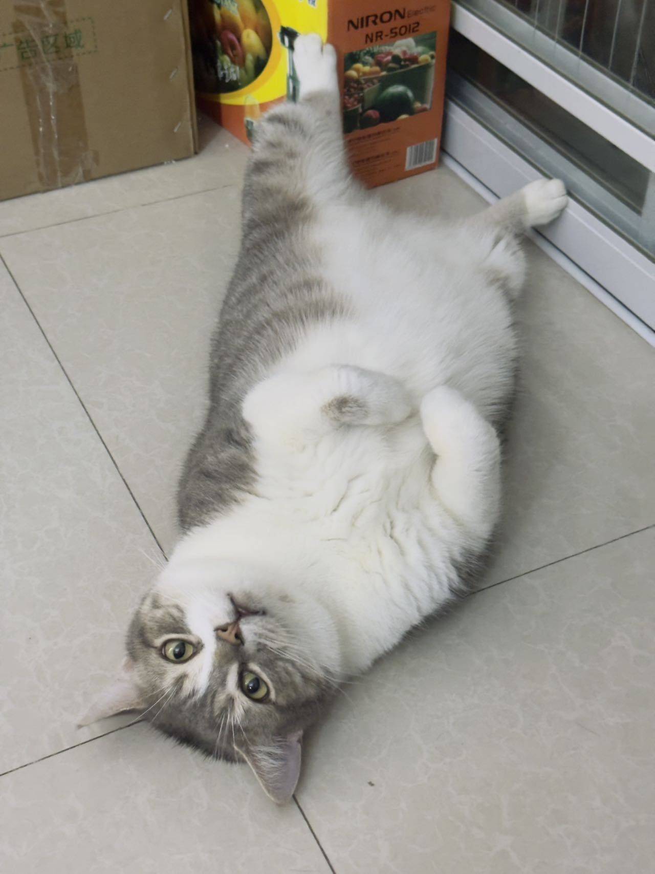 时间是把养猪刀…哈哈哈_1