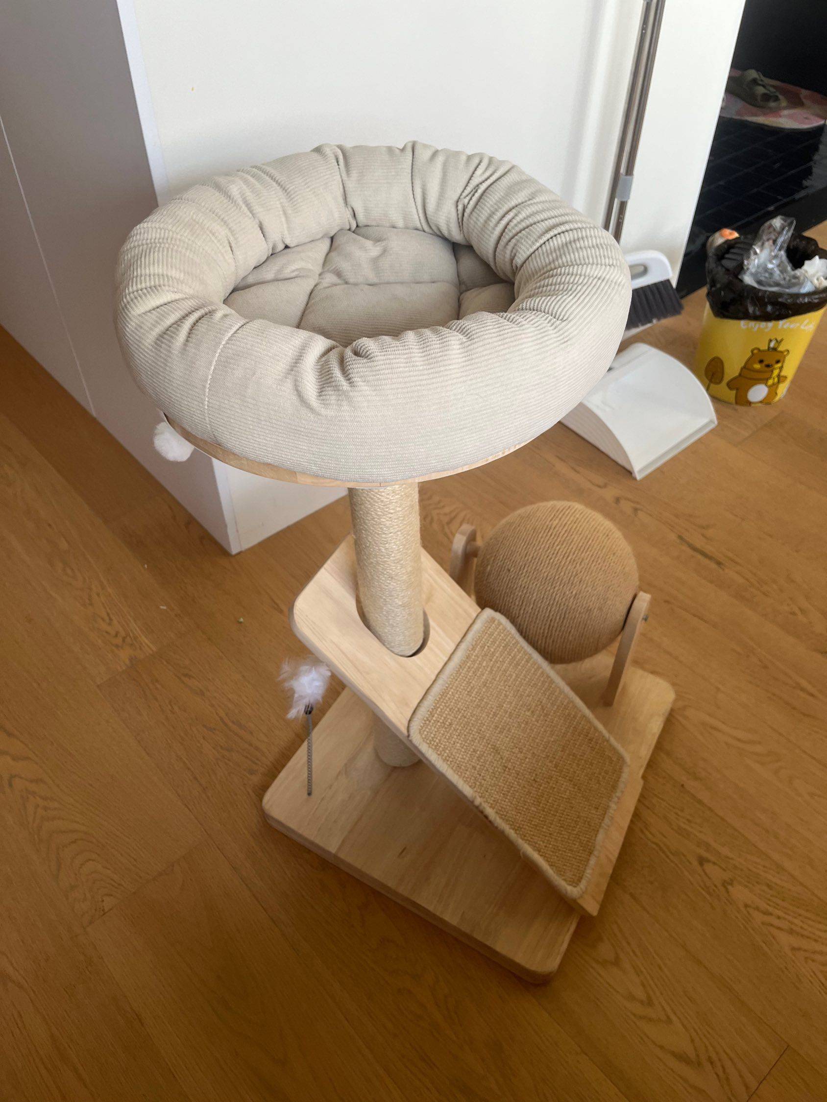 猫爬架赠送（需自取）