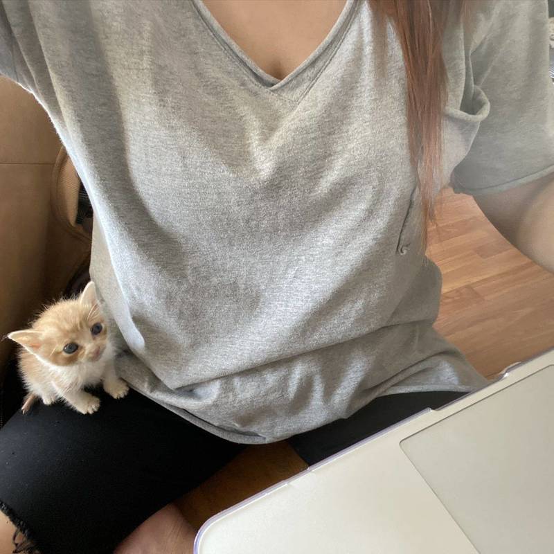 时间的参照物是养大的小猫