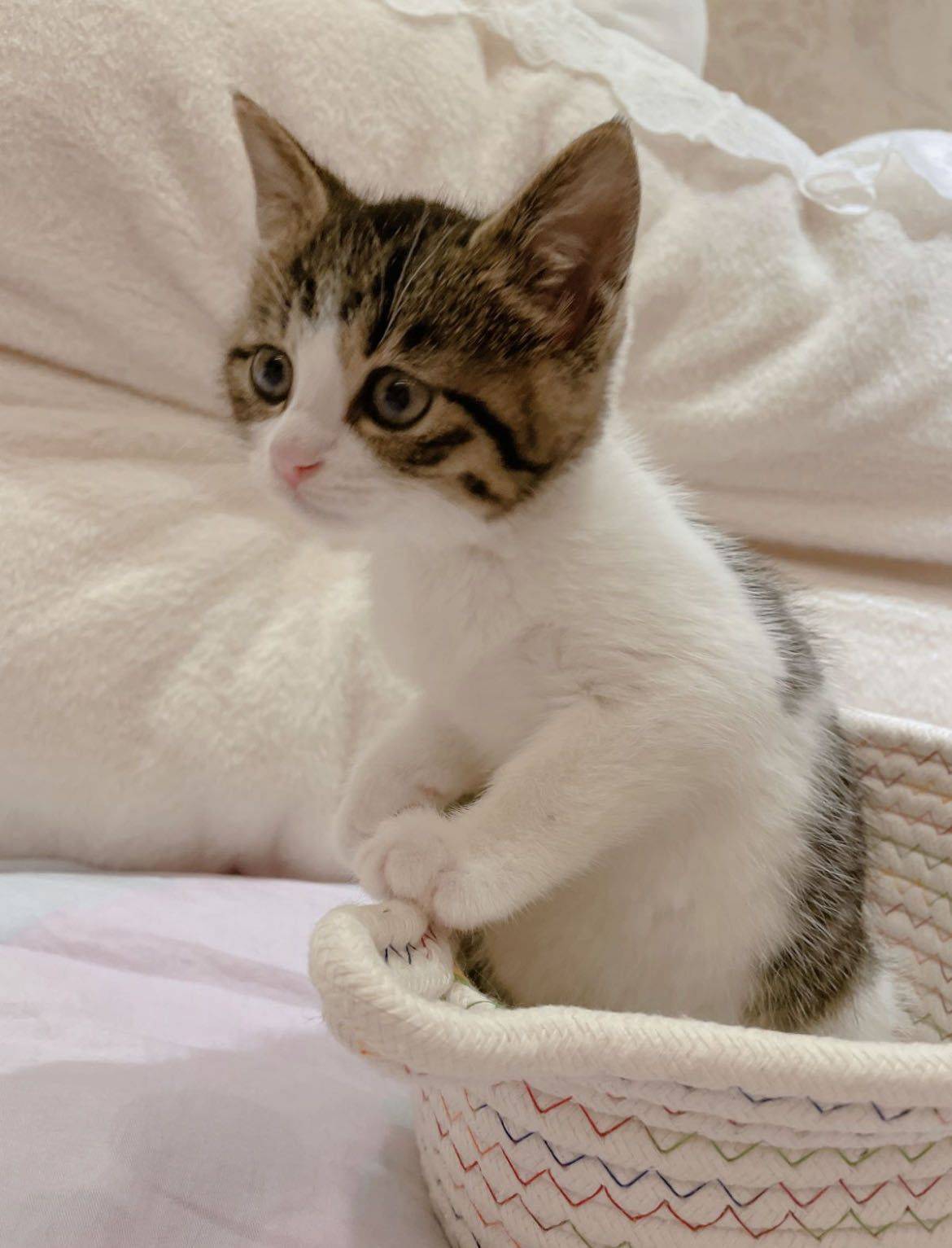 小花生 大变身_2