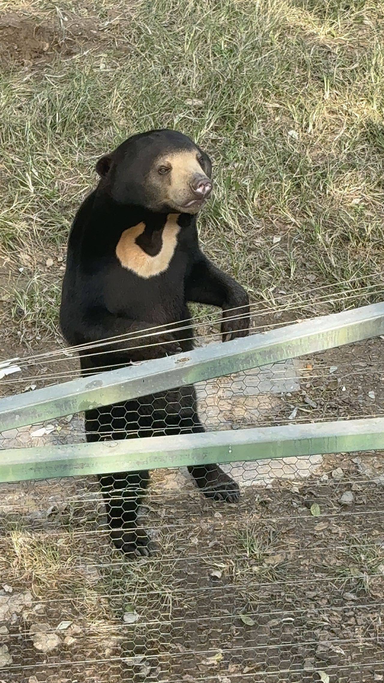 蹲个室友 四百房租