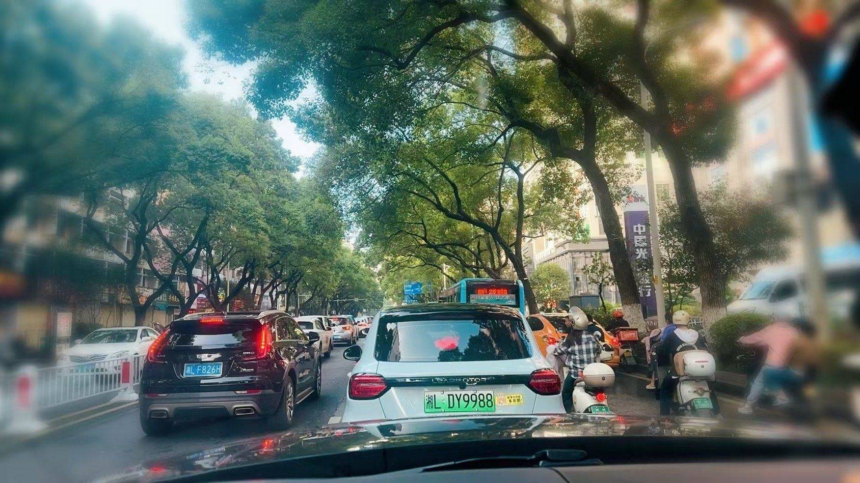 “你的修持显现你所见”