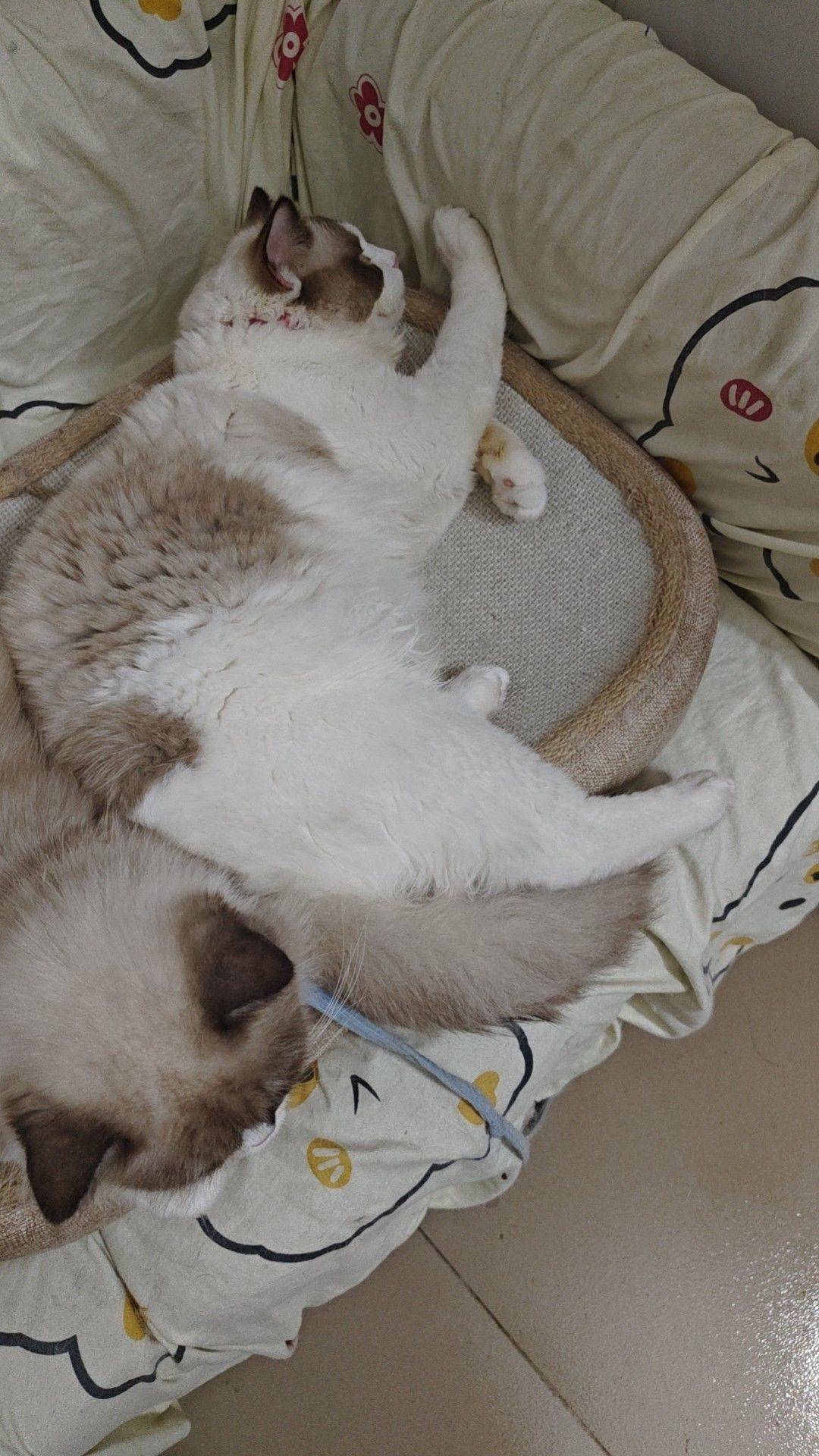 幸福的两口子_1