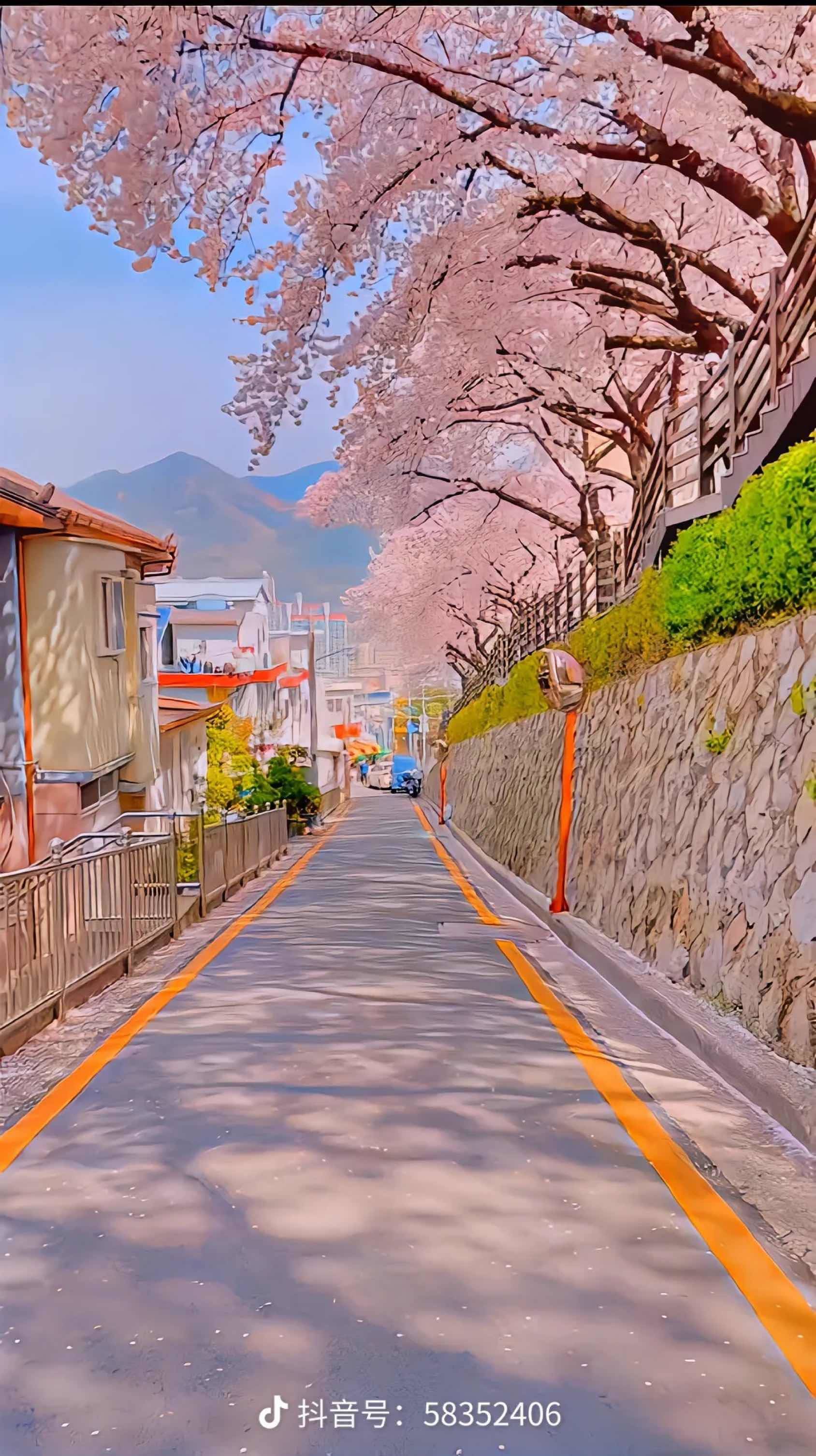 找室友，希望室友活泼有趣