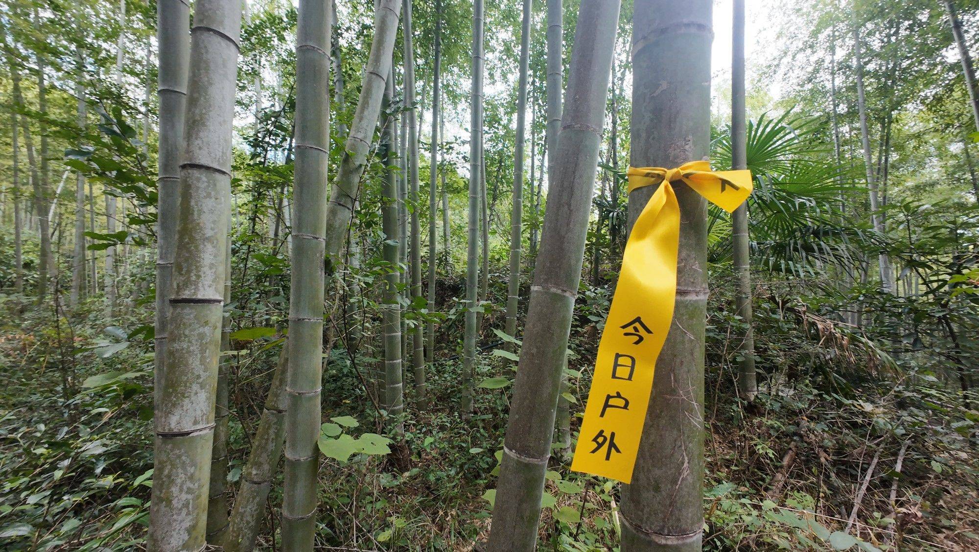 章里古道 漫步大自然  户外玩家  