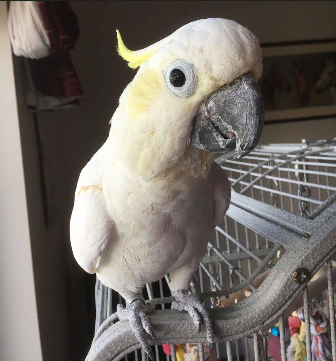 平安喜乐(ღ˘⌣˘ღ)