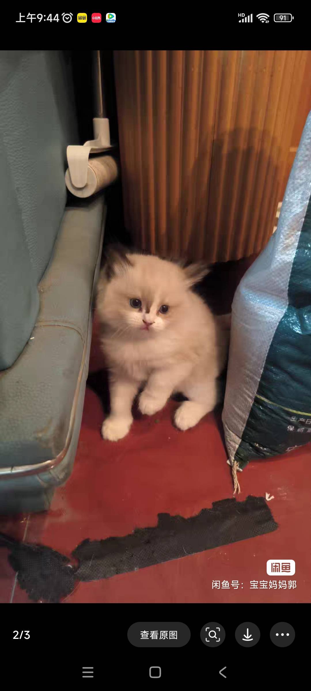 小布偶找家长，_1